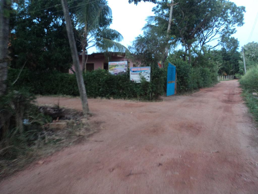 Robert Inn Dambulla Exterior photo