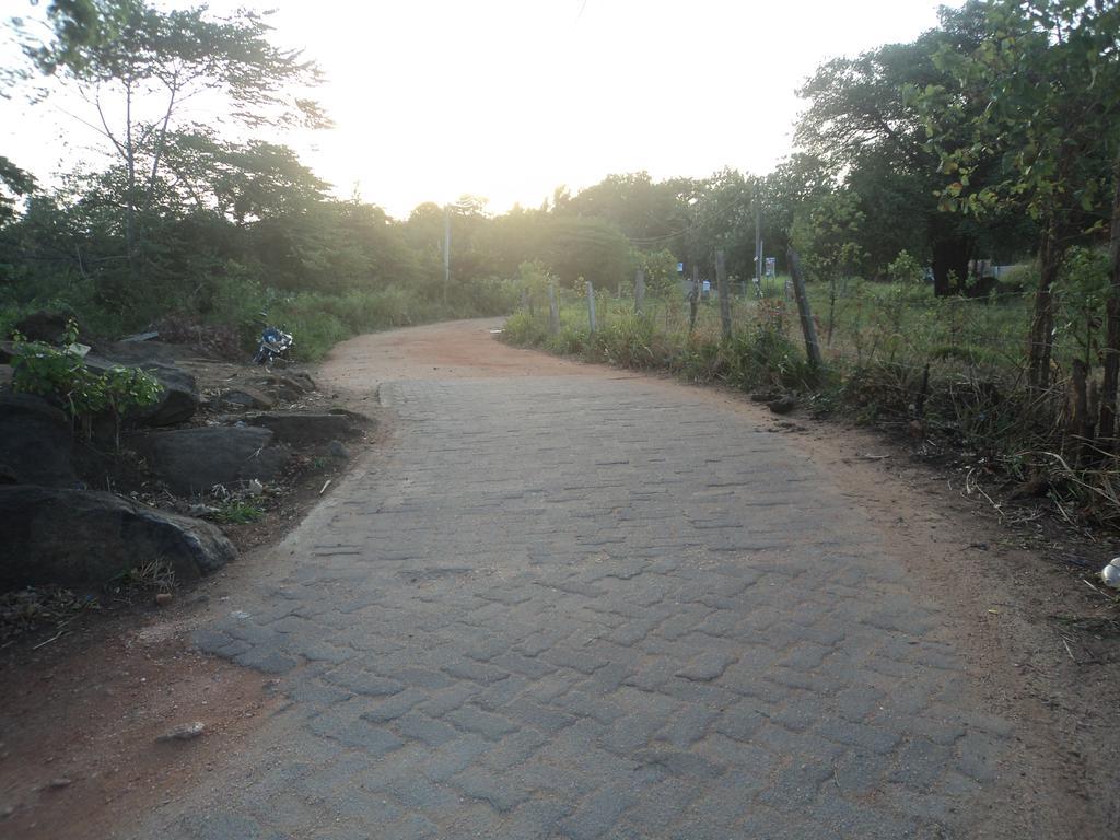 Robert Inn Dambulla Exterior photo